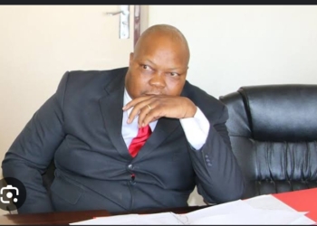 Sikhala  Is Free After a Record of 595 Days of No Freedom