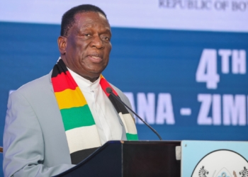Zimbabwe Seeks Lasting Solution To Its Inflation Woes