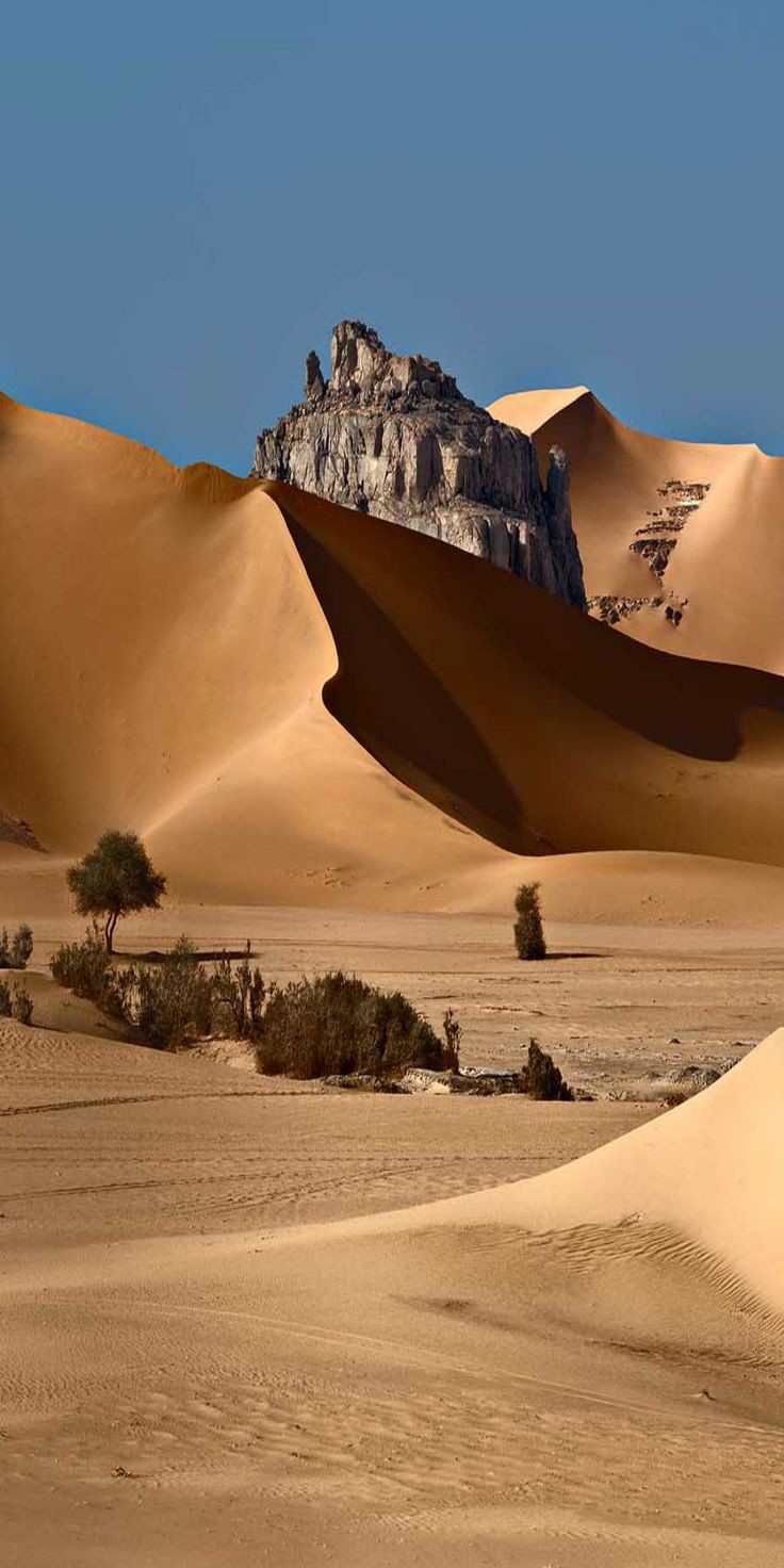 Algeria Sahara desert