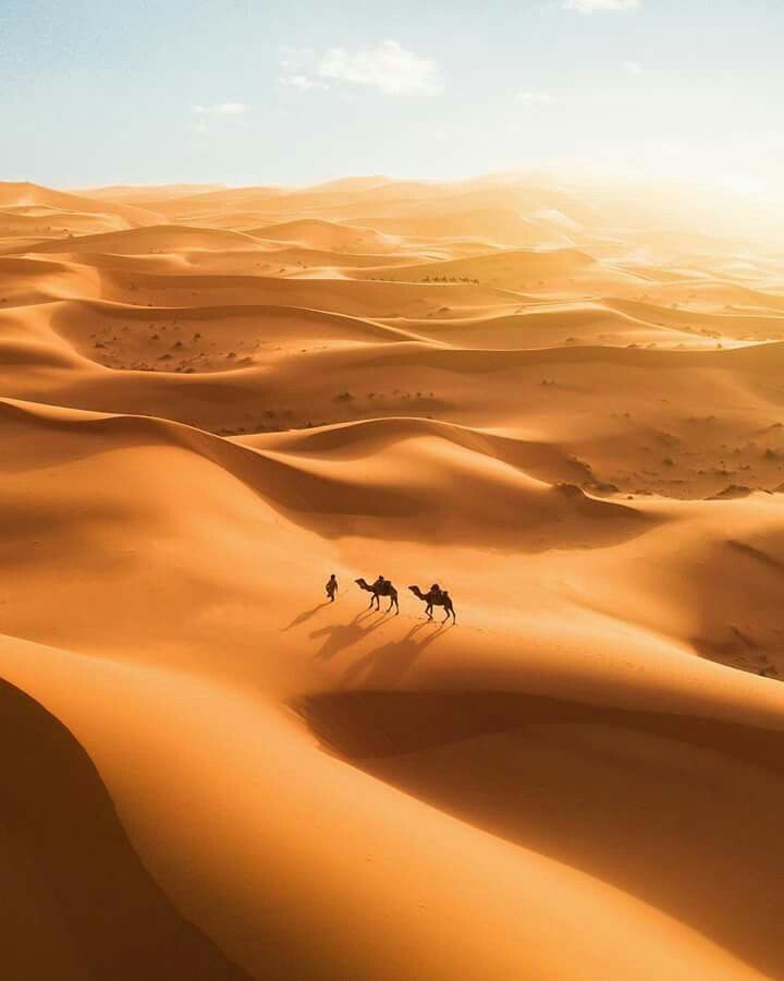 About Western Sahara