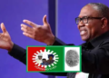 2027 Elections: Calls for Stronger Merger as Labour Party Refuses Automatic Ticket for Peter Obi