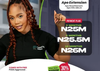 INTRODUCING NEWTOWN HILLTOP ESTATEAPO EXTENSION,APO RESETTLEMENT ABUJA