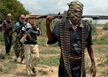 UN Official Decries Deadly Insurgent Attack on Nigerian Fishing Community