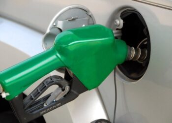 Ethiopian government