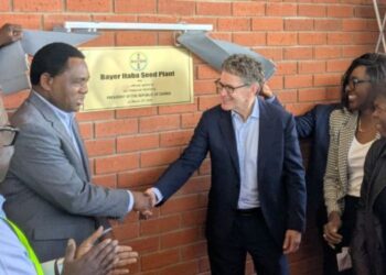 New maize seed factory in Zambia to strengthen food security