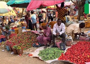 Food prices drop in Abuja