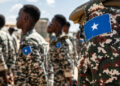 Somali National Army