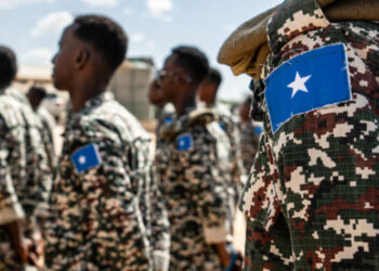 Somali National Army