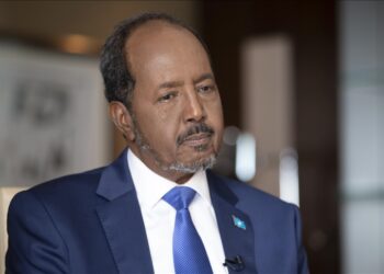 Mogadishu's Green Zone