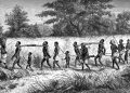 African Slavery History