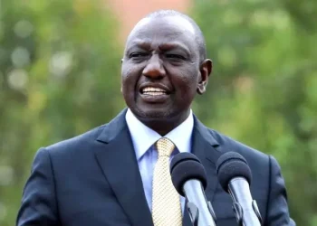 Shoe Hurled at Kenya's President