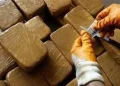 Morocco drug trafficking