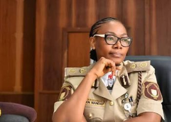 Nigeria Launches Visa Amnesty