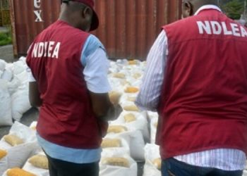 Nigeria NDLEA Seized Pills Worth ₦1 Trillion in 18 Months