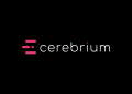 South Africa’s Cerebrium