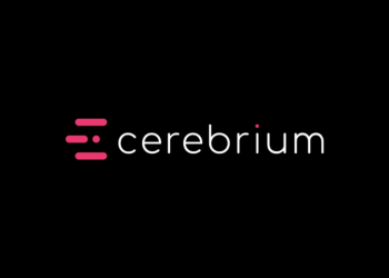 South Africa’s Cerebrium