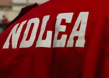 NDLEA Busts Counterfeit Cheque