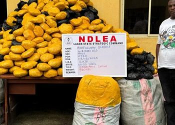 NDLEA Seize