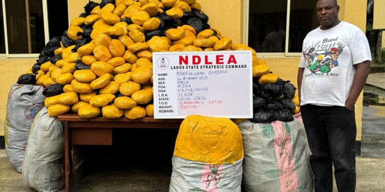 NDLEA Seize