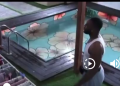BBNAIJA 10