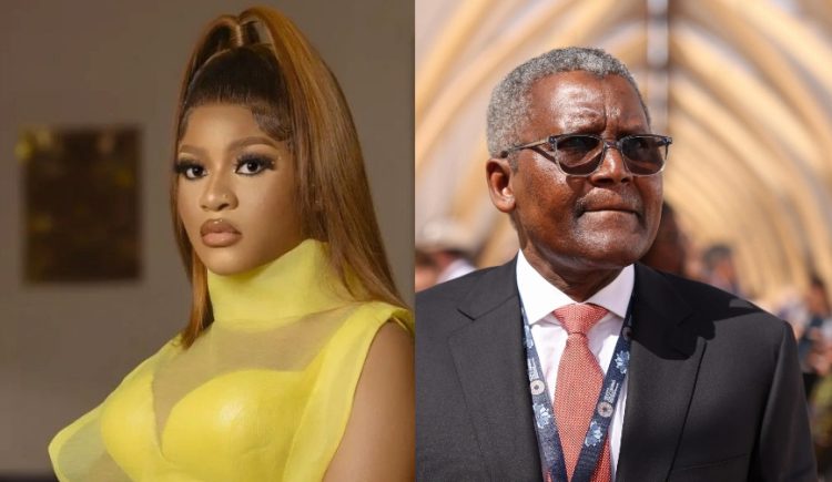 Dangote Reacts After Truck Accident