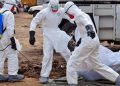 Nigeria:New Ebola Outbreak: Experts Advise FG To Control Border