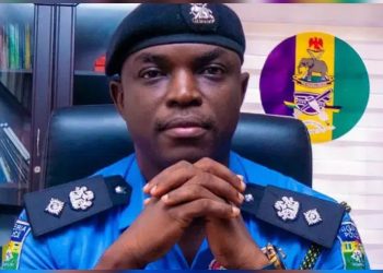 Nigeria: We Are Yet To Receive Court Order Regarding Tinted Glass Permit —Police
