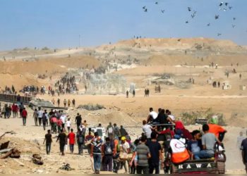 Isreal And Palestine War: Isreal Cease fire As Gazans Start Returning Home —Photos
