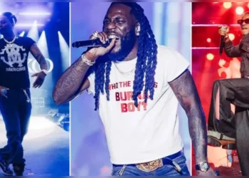 Global Afrobeat Superstar Burna Boy Makes History In New Zealand At The Afrosoul Festival(Video)