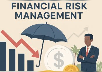 4 Strategies To Financial Risk Management
