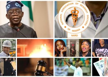 Nigeria Today: Latest Updates You Might Have Missed