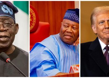 Nigeria: Senate Set To Discuss Trump’s Invasion Threat With Executive