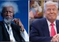 Wole Soyinka Fires Back at Trump Over Threat to Deploy U.S. Troops to Nigeria (Video)