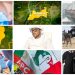 Nigeria Today: Top 10 Key Latest Updates You Need To Know This Friday Morning