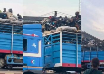 Unease in Ibadan as Truck Loaded with Young Men, Motorcycles, and Cows Arrives from North (Video)