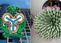 CBN reportedly bans cash bouquets ahead of Valentine’s Day, offenders risk 6-month jail