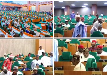 Nigeria: House of Reps in rowdy session over Electoral Act (Video)