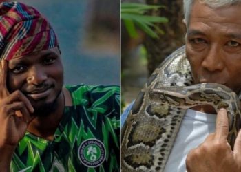 Nigeria: “What to do if a snake bites you” – Expert advice Following Nanyah’s Death