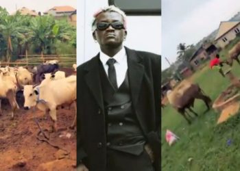 Portable set to host carnival for youths as he buys two cows for Ileya (Video)