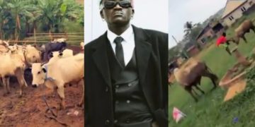 Portable set to host carnival for youths as he buys two cows for Ileya (Video)